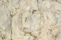 White Marble Texture