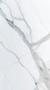 White marble texture with gray veins high resolution luxury background for interior design print and digital projects Royalty Free Stock Photo