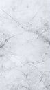 White marble texture with grey veins natural stone background for interior design print and digital projects Royalty Free Stock Photo