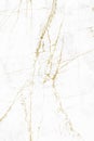 White gold marble texture pattern background for cover book or brochure, poster and wallpaper background or realistic business