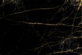 Black gold marble texture pattern background for cover book or brochure, poster and wallpaper background or realistic business Royalty Free Stock Photo