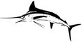 White marlin fish vector