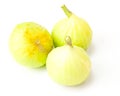 White Marseilles figs