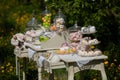 White marshmallows. green and pink marshmallows. candied fruit on a white table