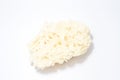 White Mashroom Royalty Free Stock Photo