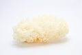 White Mashroom Royalty Free Stock Photo