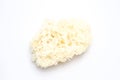 White Mashroom Royalty Free Stock Photo