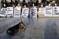 White Mask Sit-in in Athens