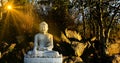 White meditating Buddha statue sits on the rock pile among forest trees in the afternoon time at India. Great religious Royalty Free Stock Photo