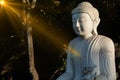 White meditating Buddha statue sits on the rock pile among forest trees in the afternoon time at India. Great religious Royalty Free Stock Photo