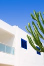 White mediterranean cactus house in Formentera