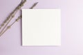 White memo pad, empty paper with dry lavender flowers on purple background Royalty Free Stock Photo
