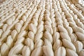 White merino wool plaid texture, background Royalty Free Stock Photo
