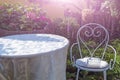 White metal iron chair and table outdoors. Retro styled furniture in magic green summer garden, symbols of Alice in Wonderland Royalty Free Stock Photo