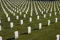 White Military Tombstones