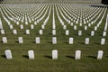 White Military Tombstones