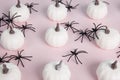 white mini pumpkins aligned symmetrically in the middle of a spider infestation