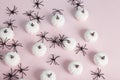 white mini pumpkins aligned symmetrically in the middle of a spider infestation