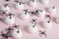 white mini pumpkins aligned symmetrically in the middle of a spider infestation