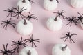 white mini pumpkins aligned symmetrically in the middle of a spider infestation