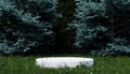 White minimal podium in the middle of pine woods forest on green grass and Bellflowers and Daisy flowers. Object and Nature Royalty Free Stock Photo