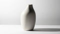 Vase s simple design and neutral color give it a modern sleek Royalty Free Stock Photo