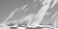 White minimalist studio for product presentation. Empty room with shadows of tree leaves. 3d room background with copy