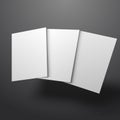 White mockup broshure 3d with shadow