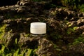 White mockup of a glass jar of face cream on a stone with green algae near the sea. Concept of natural cosmetics for nourishing