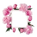 White Mockup wooden summer frame decorated with pink spring peonies flowers, empty space for text isolated on transparent png
