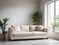 White modern living room with sofa