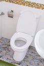 White modern toilet bowl in a bathroom,water closet