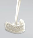 White mold dental of plaster, dental mold with a prosthesis, Dental Stone