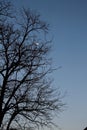 White moon in the blue sky during the day (moon in the first quarter).