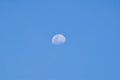 White moon in the blue sky before sunset Royalty Free Stock Photo