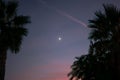 White moon in the sky with some clouds and palm trees Royalty Free Stock Photo