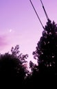 White Moon Vista, Indian-purple Sky
