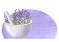 White mortar with lavender . Bowl and pestle. Aromatherapy, spa, bath. Hand draw watercolor illustration isolated on a Royalty Free Stock Photo