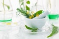 White mortar and pestle with herbs Royalty Free Stock Photo