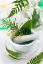 White mortar and pestle with herbs Royalty Free Stock Photo