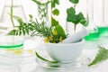 White mortar and pestle with herbs Royalty Free Stock Photo