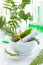 White mortar and pestle with herbs Royalty Free Stock Photo