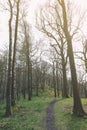 White Moss Walks, scenic forest recreational area by River Rothay in Ambleside, Lake District National Park in South Lakeland, UK Royalty Free Stock Photo