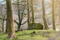 White Moss Walks, scenic forest recreational area by River Rothay in Ambleside, Lake District National Park in South Lakeland, UK Royalty Free Stock Photo