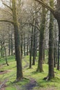 White Moss Walks, scenic forest recreational area by River Rothay in Ambleside, Lake District National Park in South Lakeland, UK Royalty Free Stock Photo