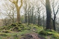 White Moss Walks, scenic forest recreational area by River Rothay in Ambleside, Lake District National Park in South Lakeland, UK Royalty Free Stock Photo