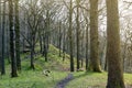 White Moss Walks, scenic forest recreational area by River Rothay in Ambleside, Lake District National Park in South Lakeland, UK Royalty Free Stock Photo