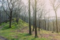 White Moss Walks, scenic forest recreational area by River Rothay in Ambleside, Lake District National Park in South Lakeland, UK Royalty Free Stock Photo