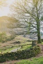 White Moss Walks, scenic forest recreational area by River Rothay in Ambleside, Lake District National Park in South Lakeland, UK Royalty Free Stock Photo