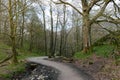 White Moss Walks, scenic forest recreational area by River Rothay in Ambleside, Lake District National Park in South Lakeland, UK Royalty Free Stock Photo